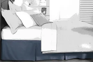Spun Silk Bed Skirt